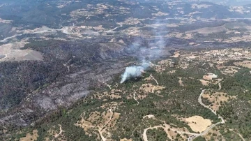 Bursa’daki yangın tekrar başladı
