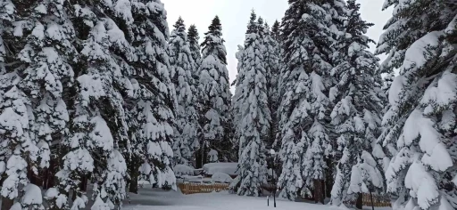 Bursa Uludağ’da kar kalınlığı 1 metreye yaklaştı.
