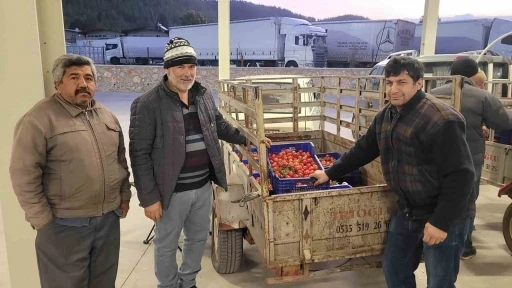 Hâl Teminatı ile Üreticilerin Alacakları Güvence Altında