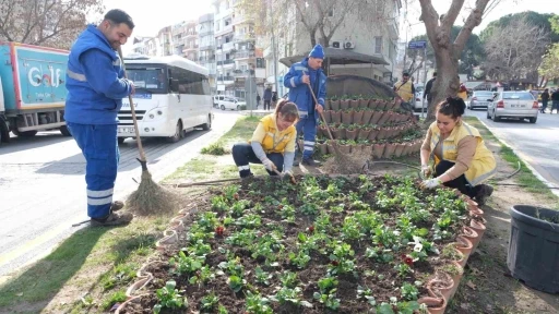 Büyükşehir’in çiçekleri Söke’yi renklendirdi
