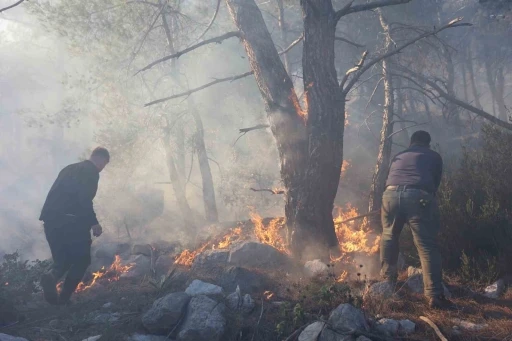 Büyükşehir itfaiyesinden orman yangınına müdahale desteği
