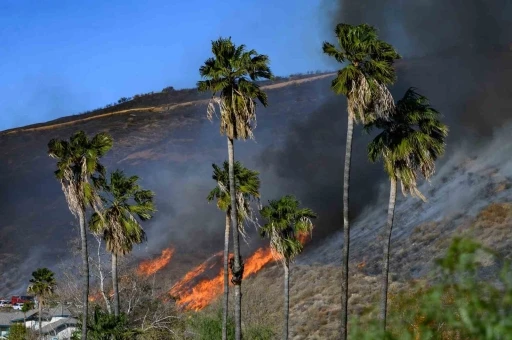 California’da çıkan yeni yangın kontrol altına alındı, 1 kişi gözaltında
