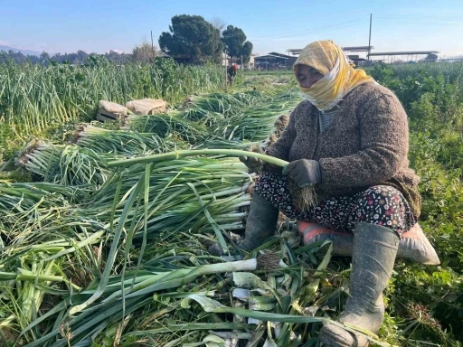 Çalışarak sağlığını koruyor ve ekonomik refahını sağlıyor
