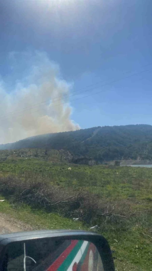 Çanakkale’de orman yangını
