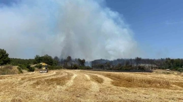 Çanakkale’de orman yangınına 9 uçak ve 5 helikopterle müdahale ediliyor
