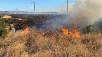 Çanakkale’de tarım arazisinde çıkan yangın ormanlık alana sıçradı
