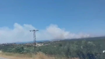 Çanakkale’de yangına havadan ve karadan müdahale ediliyor
