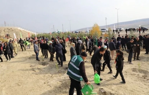 Çankırı’da fidanlar toprakla buluştu
