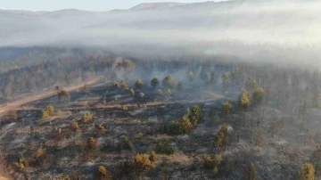 Çankırı’daki orman yangınına müdahale sürüyor
