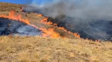 Çorum’da anız yangını
