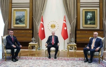 Cumhurbaşkanı Erdoğan, Polonya Meclis Başkanı Holownia’yı kabul etti
