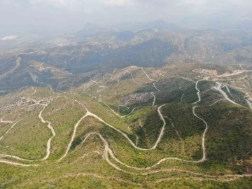 Cumhuriyet tarihinin en büyük yangınının yaşandığı bölgede yeşile dönüş tamamlandı
