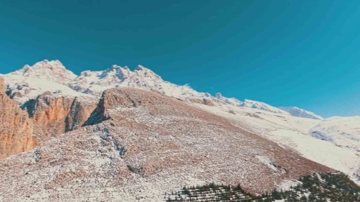 Dağ keçilerinin kış yolculuğu havadan görüntülendi
