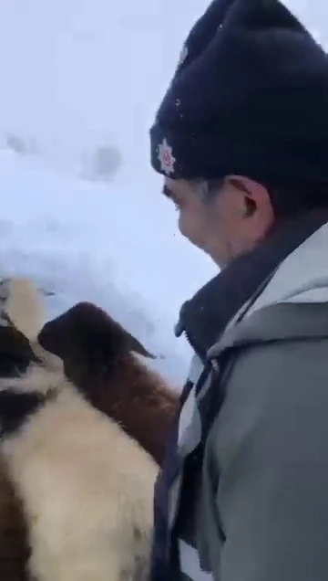 Dağda mahsur kalan çoban köylülerin yardımıyla kurtarıldı
