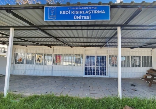 Davutlar Mahallesi’ne kedi kısırlaştırma merkezi açılıyor
