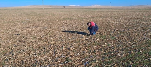 Dazkırı’da tarım arazisi etüt çalışması yapıldı
