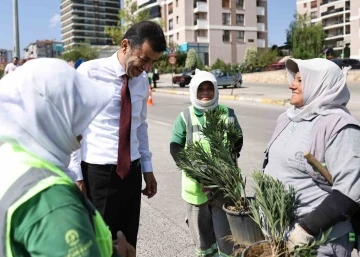 Denizli’de susuzluğa dayanıklı yeşil bitki dönemi başlıyor
