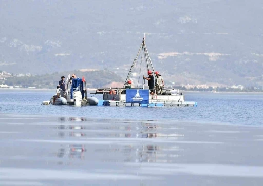 Depreme dirençli İzmir için dönüşüm başlayacak
