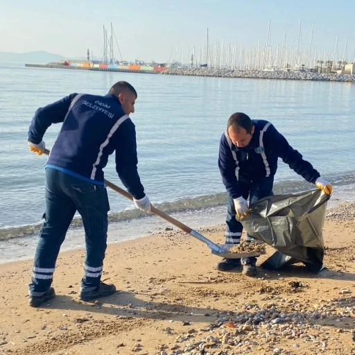 Didim’de Lodos’un izleri siliniyor
