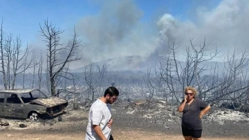 Didim’deki yangında ahır zarar gördü, hayvanlar telef oldu
