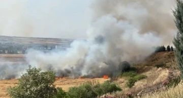 Diyarbakır’da 300 dönüm ekili buğday yandı
