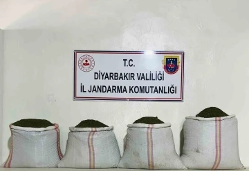 Diyarbakır’da 34 bin 500 kök kenevir ve 112 kilo esrar ele geçirildi
