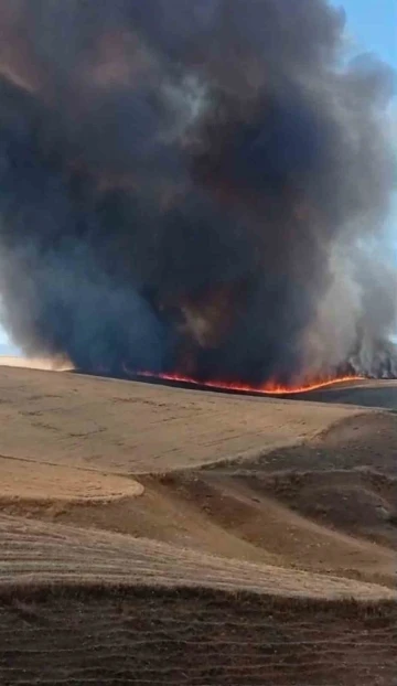 Diyarbakır’da bin dönümlük arazi küle döndü
