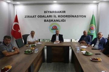 Diyarbakır’da çiftçiler hububat fiyatlarından memnun değil
