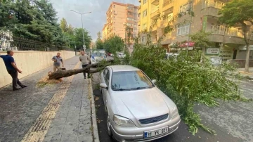 Diyarbakır’da dev ağaç otomobilin üstüne devrildi
