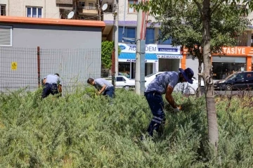 Diyarbakır’da park ve bahçelerde temizlik çalışmaları
