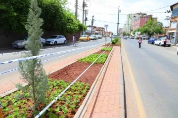 Diyarbakır’da peyzaj çalışmaları sürüyor
