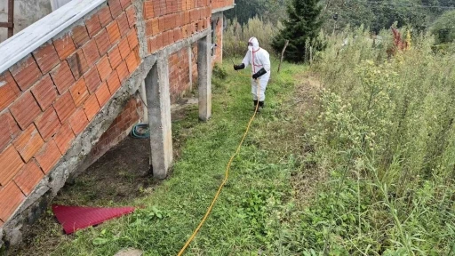 Doğu Karadeniz’in en büyük ilçesi olan Ortahisar’da kahverengi kokarca ile mücadelede ilaçlama seferberliği başlatıldı
