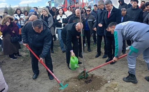 DPÜ Tavşanlı Kampüsü’nde &quot;Orman Vatandır&quot; etkinliğiyle yüzlerce fidan toprakla buluştu
