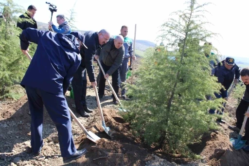 Dünya Ormancılık Günü’nde Çanakkale’de 4 bin fidan toprakla buluştu
