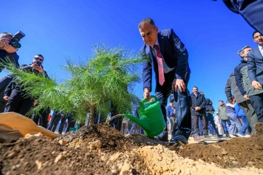 MUĞLA'DA FİDANLAR TOPRAKLA BULUŞTU