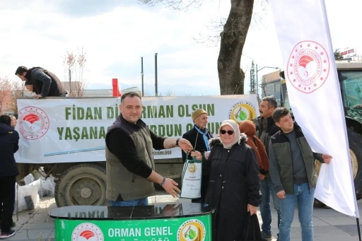 Düzce’de 5 bin adet fidan dağıtıldı
