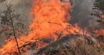 Edirne’de örtü yangını üç köye sıçradı: Tarlalar, ağaçlar, ahırlar alev alev yandı
