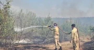 Edirne’de üç köyü etkileyen yangın söndürüldü
