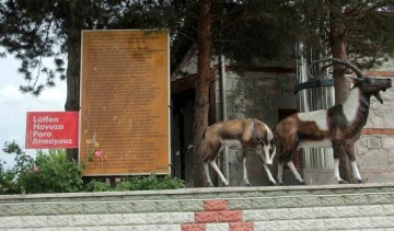 Efsaneleşen ve balıkların kutsal sayıldığı sudan, şifa bulmak için içiyorlar
