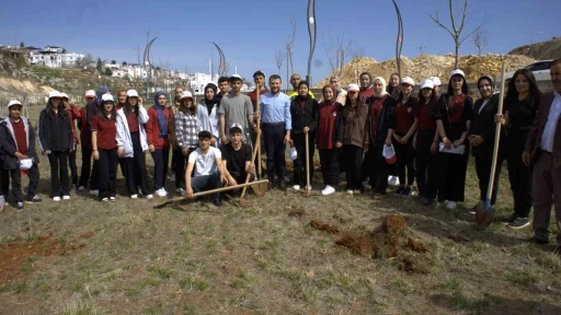 Eğil’de &quot;Narin Hatıra Ormanı&quot; için ilk fidanlar dikildi
