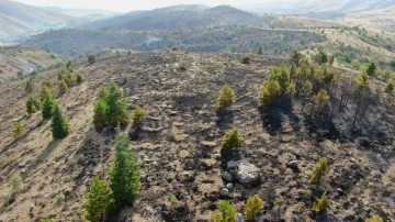 Elazığ’da orman yangını kontrol altına alındı, yüzlerce dönümlük alan kül oldu
