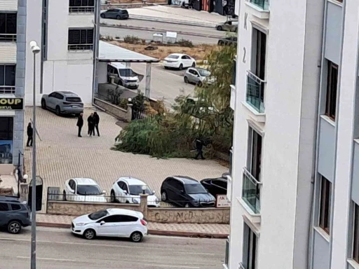 Elazığ’da şiddetli fırtına ağaçları devirdi
