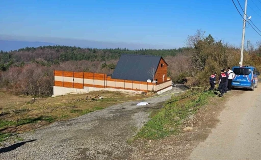 Emekli polis tartıştığı kardeşini beylik tabancasıyla vurarak öldürdü
