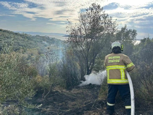 Erdek’te yangın: 10 dönümlük zeytinlik kül oldu
