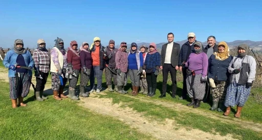 Erkeklerin işi olarak bilinen bağ budama işine kadın eli değdi
