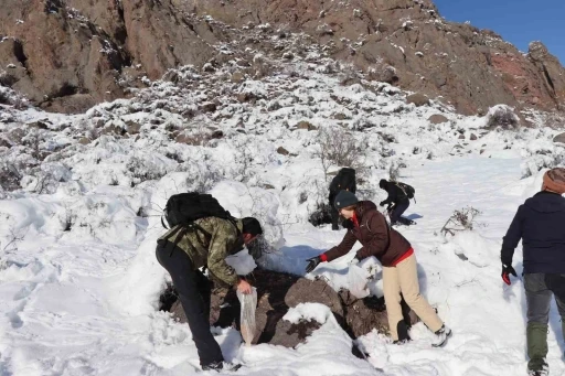 Erzurum’da doğaseverler soğuk havalarda keklikleri unutmadı
