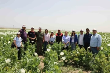 Eskişehir’de haşhaş çeşitleri için tarla günü düzenlendi
