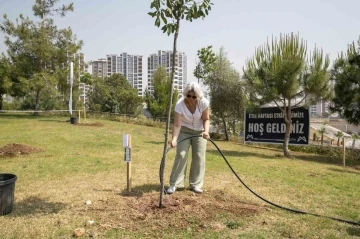 Etik Haftası kapsamında 68’liler Barış Ormanı’nda fidan dikimi gerçekleştirildi
