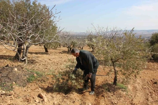 Gaziantep’te çiftçilerin umudu bahar yağmurlarında
