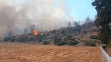 Gaziantep’te çıkan yangında 30 dönüm ormanlık alan zarar gördü
